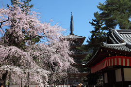 醍醐寺