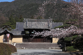 隨心院(随心院)