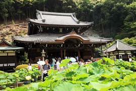 三室戸寺