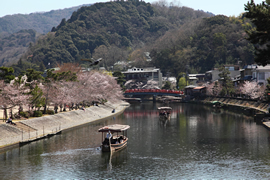 宇治公園(京都府立宇治公園)