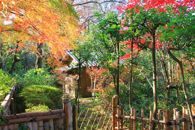 茶室 鳩峯庵