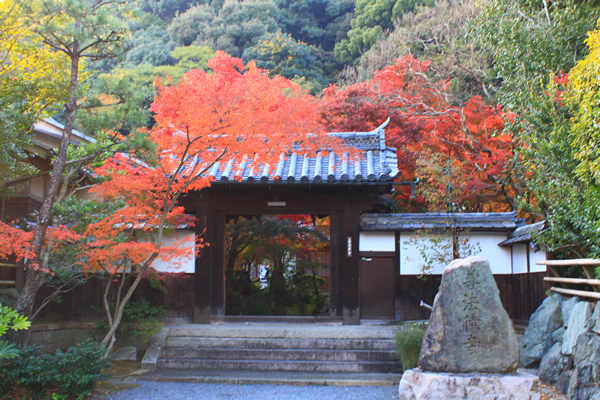 善法律寺