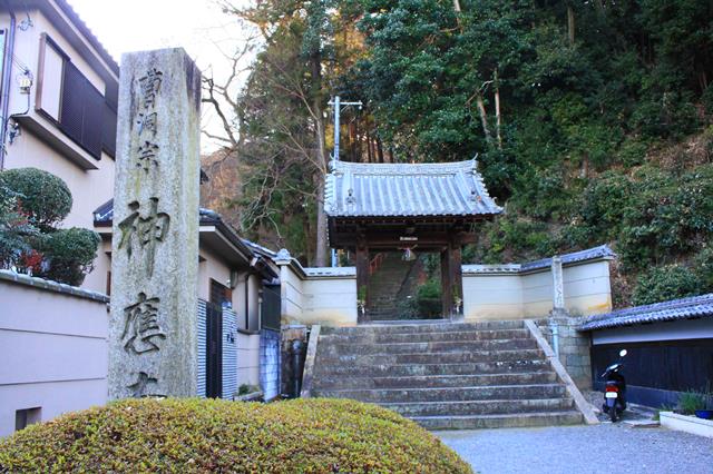 神応寺(神應寺)