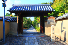 大徳寺 芳春院