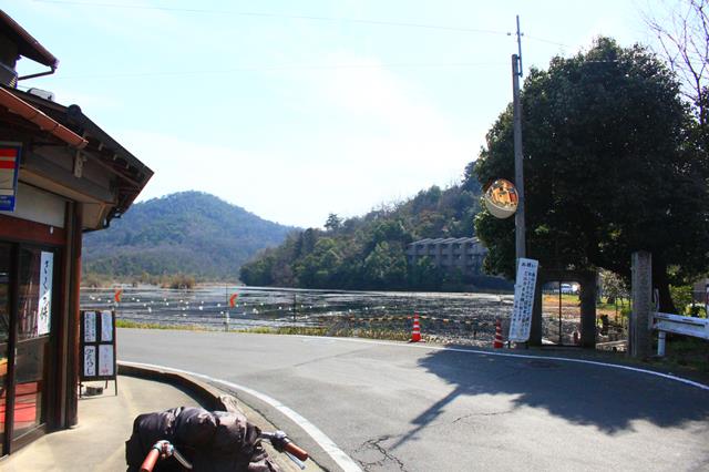 深泥池 観光情報 京都に乾杯