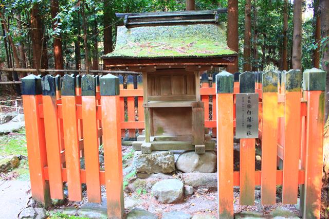 白鬚社(白鬚神社)