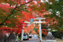 鷺森神社