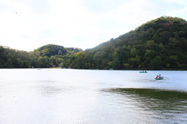 宝が池公園