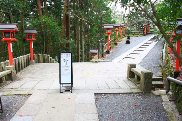 分岐