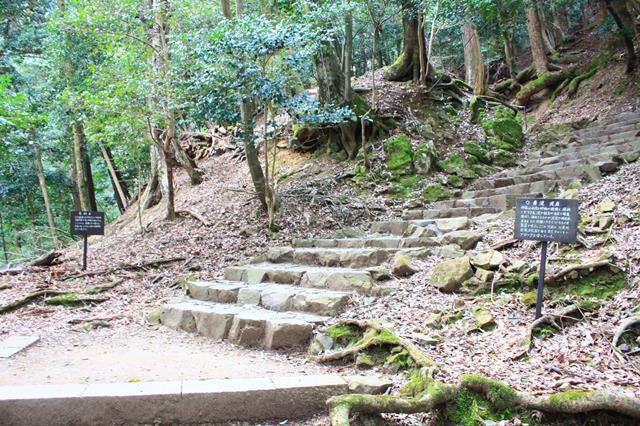 黄泥泥岩と砂岩