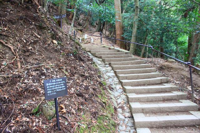 赤鳴 珪質頁岩