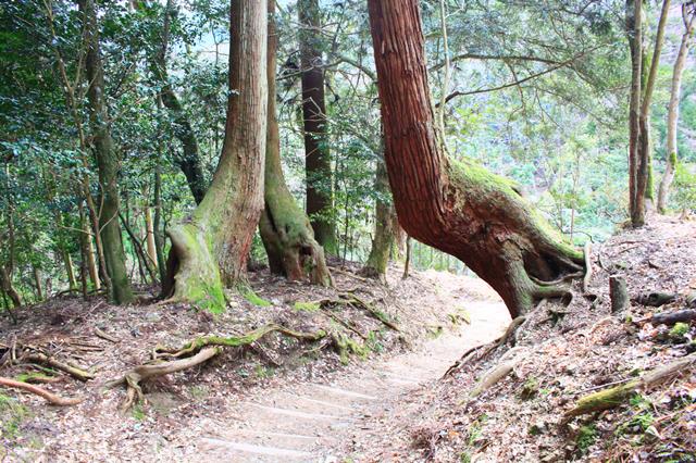 山道