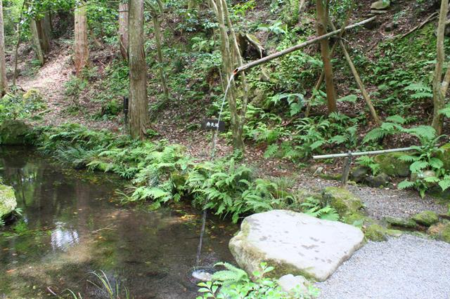 延命水(金色水)