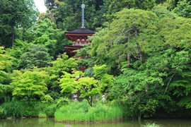 浄瑠璃寺(九体寺)